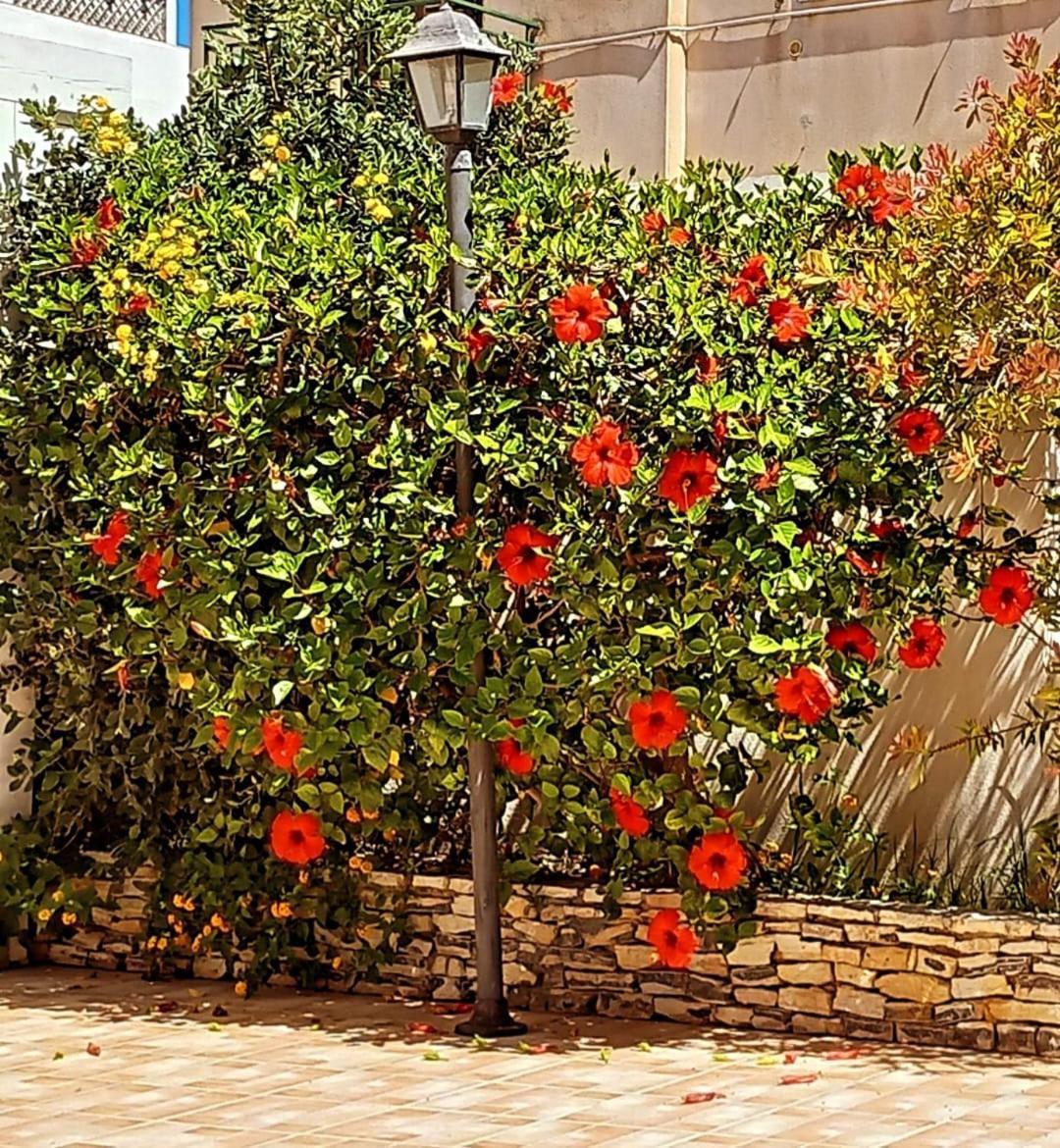 Blu Vacanze Residence Favignana Exterior foto